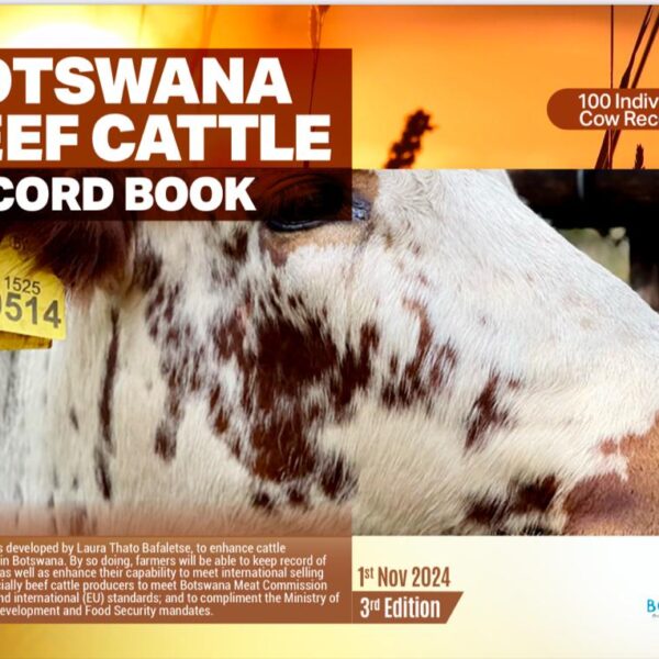100 Individual Cows
