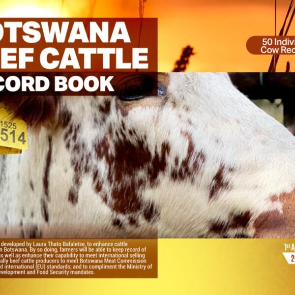 50 Individual Cows