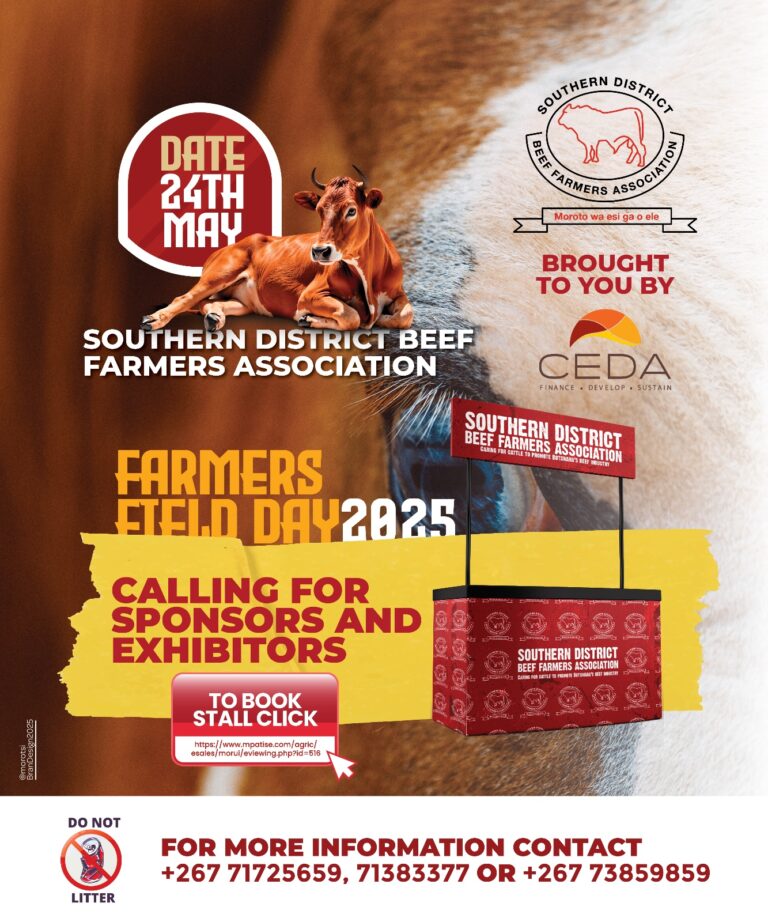 SDBFA2025