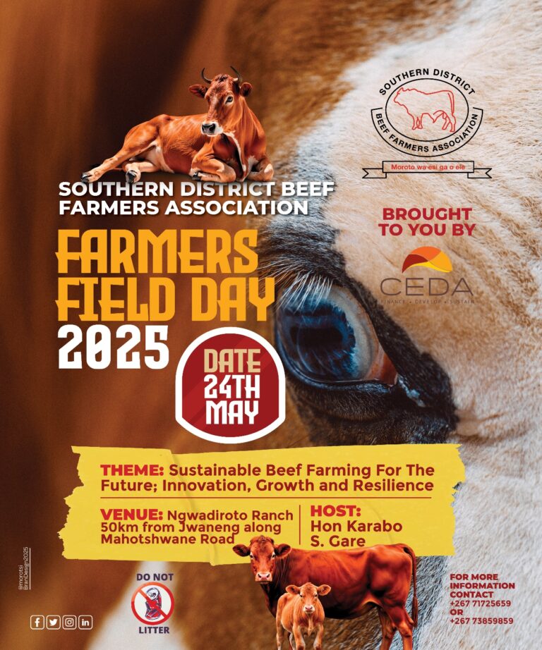 sdbfafielday2025