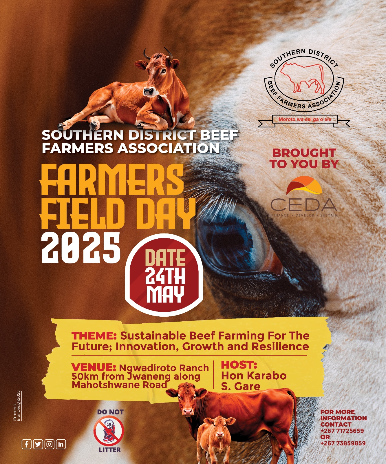 sdbfafielday2025