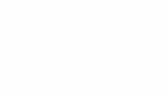Lira banner